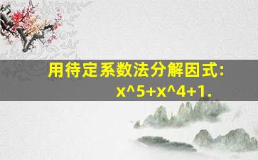 用待定系数法分解因式: x^5+x^4+1.